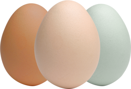 3eggs